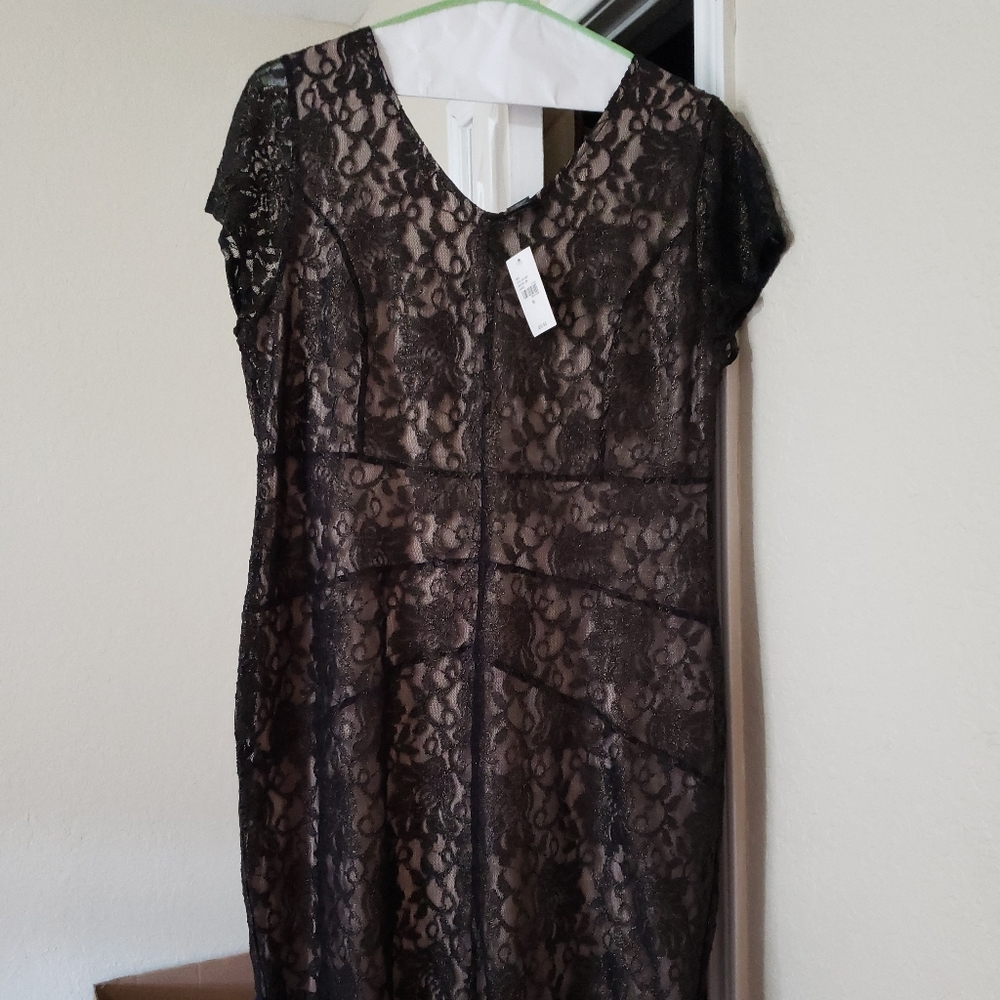 Lane Bryant Dress